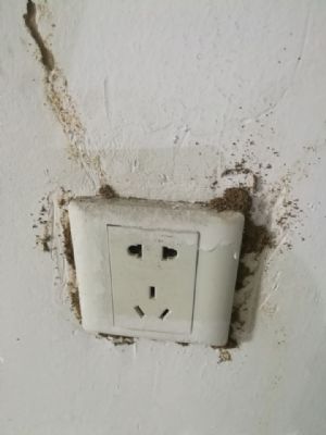 電線開(kāi)關(guān) 